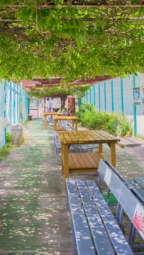 会員ベンチ画像